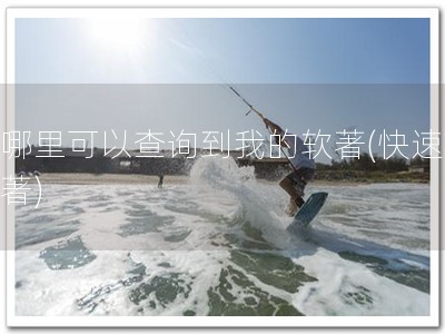 在哪里可以查询到我的软著(快速查软著)