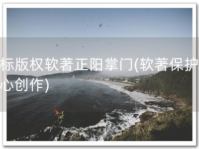 商标版权软著正阳掌门(软著保护，安心创作)