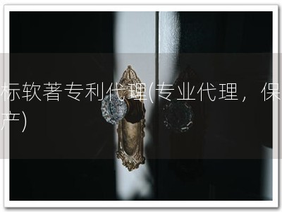 商标软著专利代理(专业代理，保障知产)