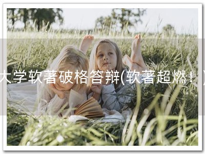大学软著破格答辩(软著超燃！)