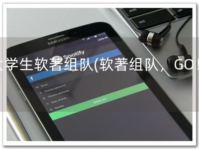 大学生软著组队(软著组队，GO！)