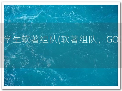 大学生软著组队(软著组队，GO！)