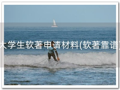 大学生软著申请材料(软著靠谱)