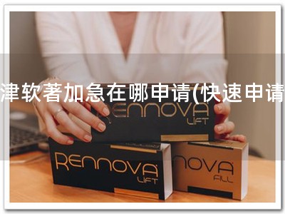 天津软著加急在哪申请(快速申请！)