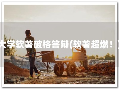 大学软著破格答辩(软著超燃！)