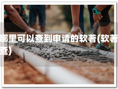 在哪里可以查到申请的软著(软著一键查)