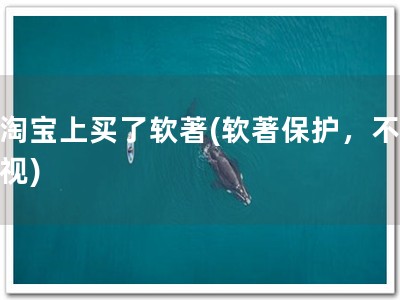 在淘宝上买了软著(软著保护，不容忽视)
