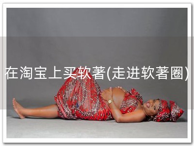 在淘宝上买软著(走进软著圈)