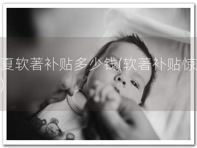 宁夏软著补贴多少钱(软著补贴惊喜！)
