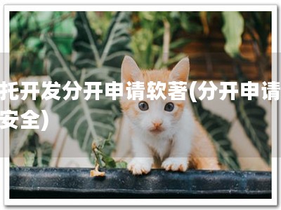 委托开发分开申请软著(分开申请，更安全)