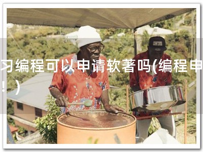 学习编程可以申请软著吗(编程申软著！)