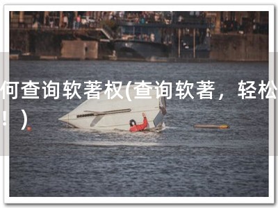 如何查询软著权(查询软著，轻松搞定！)