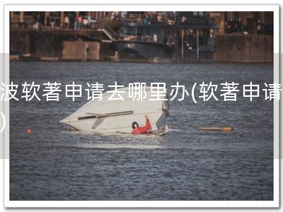 宁波软著申请去哪里办(软著申请指南)