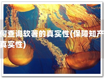 如何查询软著的真实性(保障知产，查真实性)