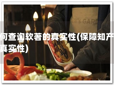 如何查询软著的真实性(保障知产，查真实性)