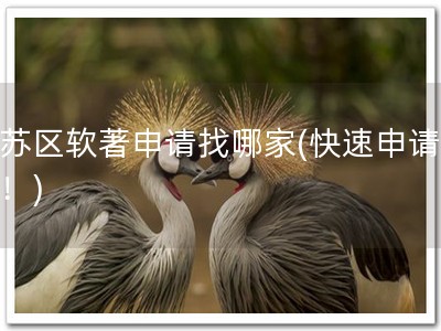 姑苏区软著申请找哪家(快速申请软著！)
