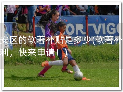 宝安区的软著补贴是多少(软著补贴福利，快来申请！)