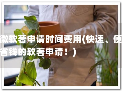 安徽软著申请时间费用(快速、便捷、省钱的软著申请！)