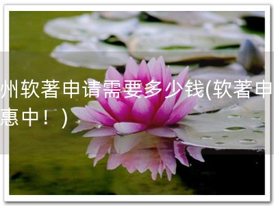 宿州软著申请需要多少钱(软著申请优惠中！)