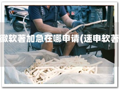 安徽软著加急在哪申请(速申软著！)