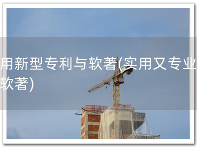实用新型专利与软著(实用又专业，选软著)