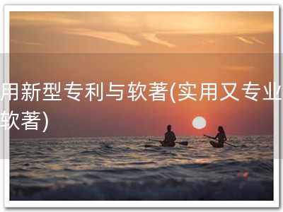 实用新型专利与软著(实用又专业，选软著)