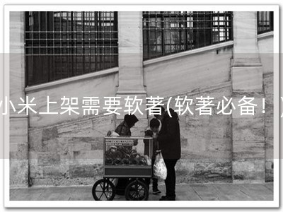 小米上架需要软著(软著必备！)
