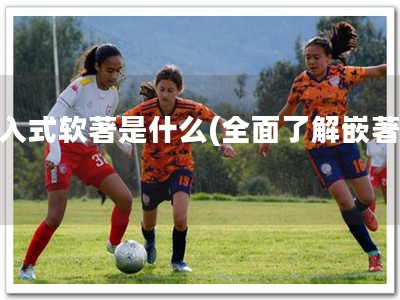 嵌入式软著是什么(全面了解嵌著！)