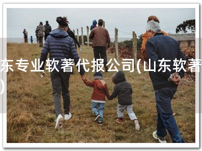 山东专业软著代报公司(山东软著代报)