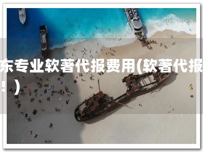 山东专业软著代报费用(软著代报优选！)