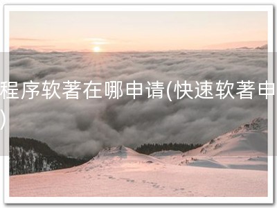 小程序软著在哪申请(快速软著申请！)