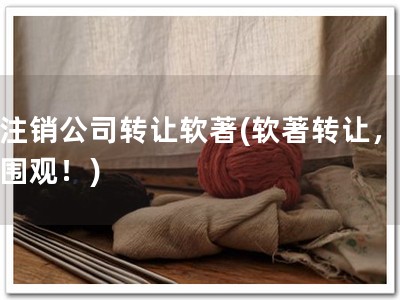 已注销公司转让软著(软著转让，速来围观！)