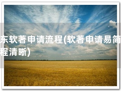 山东软著申请流程(软著申请易简，流程清晰)
