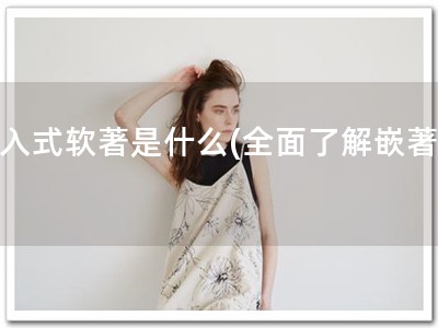 嵌入式软著是什么(全面了解嵌著！)