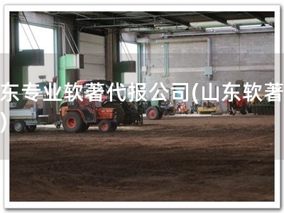 山东专业软著代报公司(山东软著代报)
