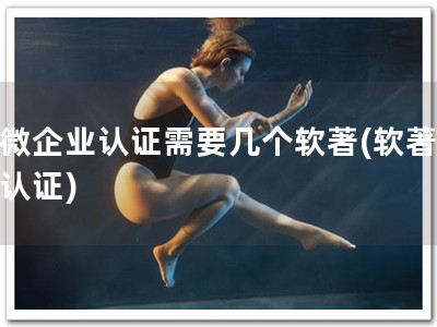 小微企业认证需要几个软著(软著轻松认证)