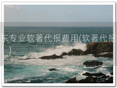 山东专业软著代报费用(软著代报优选！)