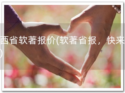 广西省软著报价(软著省报，快来看！)