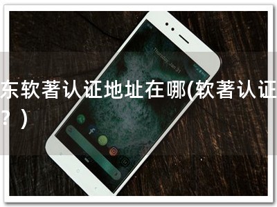 广东软著认证地址在哪(软著认证去哪？)
