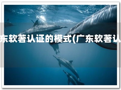 广东软著认证的模式(广东软著认证)