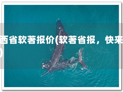 广西省软著报价(软著省报，快来看！)