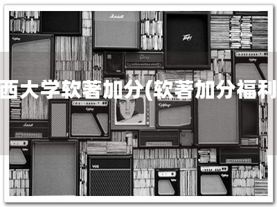 广西大学软著加分(软著加分福利！)
