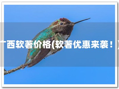 广西软著价格(软著优惠来袭！)