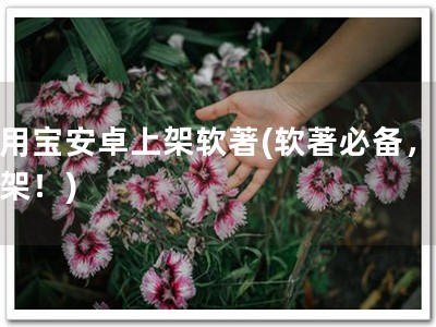 应用宝安卓上架软著(软著必备，快上架！)