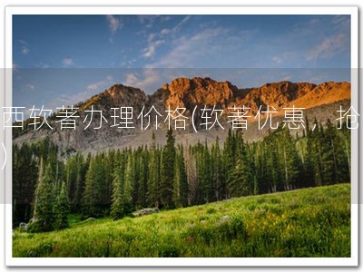 广西软著办理价格(软著优惠，抢购！)