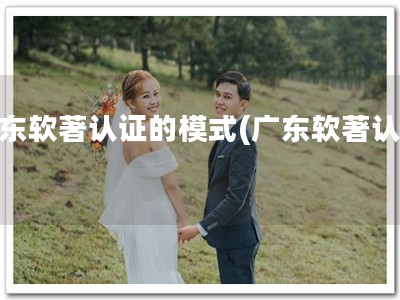 广东软著认证的模式(广东软著认证)
