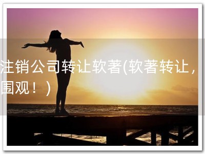 已注销公司转让软著(软著转让，速来围观！)