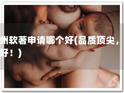 徐州软著申请哪个好(品质顶尖，服务好！)