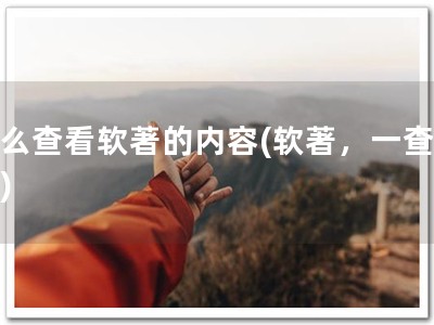 怎么查看软著的内容(软著，一查便知)