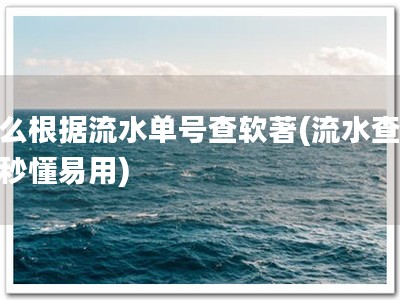 怎么根据流水单号查软著(流水查著，秒懂易用)